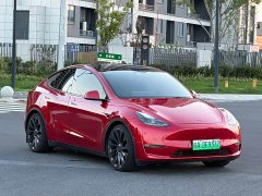 Tesla Model Y Performance All-Wheel Drive - ფოტო 2
