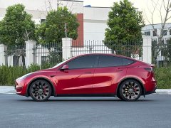 Tesla Model Y Performance All-Wheel Drive - ფოტო 3