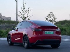 Tesla Model Y Performance All-Wheel Drive - ფოტო 4