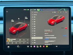 Tesla Model Y Performance All-Wheel Drive - ფოტო 9