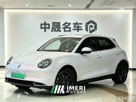 2024 ORA Good Cat 2023 401km Standard Range Luxury Trim Ternary Lithium Battery - ავტომობილი ჩინეთიდან