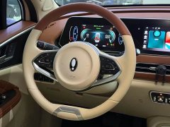 ORA Good Cat 2023 401km Standard Range Luxury Trim Ternary Lithium Battery - ფოტო 11