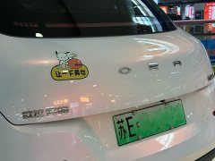 ORA Good Cat 2023 401km Standard Range Luxury Trim Ternary Lithium Battery - ფოტო 5