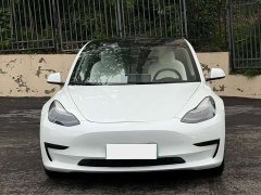 Tesla Model 3 2022 Rear-Wheel Drive - ფოტო 2
