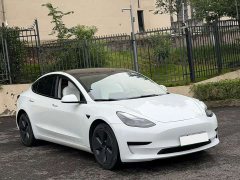 Tesla Model 3 2022 Rear-Wheel Drive - ფოტო 3