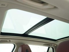 BMW X5 xDrive 30Li M Sport Luxury Night Edition Package - ფოტო 10