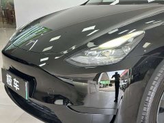 Tesla Model Y Rear-Wheel Drive - ფოტო 18