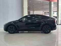 Tesla Model Y Rear-Wheel Drive - ფოტო 6