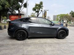 Tesla Model Y Rear-Wheel Drive - ფოტო 19