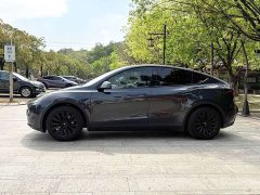 Tesla Model Y Rear-Wheel Drive - ფოტო 3