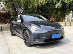 Tesla Model Y Rear-Wheel Drive - ფოტო 4