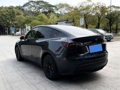 Tesla Model Y Rear-Wheel Drive - ფოტო 5