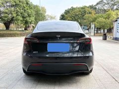 Tesla Model Y Rear-Wheel Drive - ფოტო 6