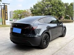 Tesla Model Y Rear-Wheel Drive - ფოტო 7