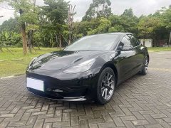 Tesla Model 3 Facelift Standard Range RWD Upgrade 3D1 - ფოტო 1