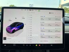 Tesla Model Y Facelift Long Range All-Wheel Drive - ფოტო 13