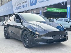 Tesla Model Y Facelift Long Range All-Wheel Drive - ფოტო 6