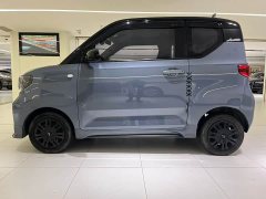 BMW Hongguang MINIEV Macaron Premium Edition LFP - ფოტო 8