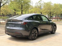 Tesla Model Y Rear-Wheel Drive - ფოტო 11