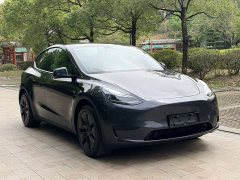 Tesla Model Y Rear-Wheel Drive - ფოტო 6