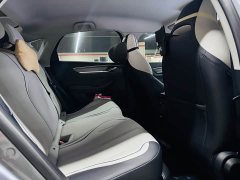 BYD Destroyer 05 Glory Edition DM-i 55KM Luxury - ფოტო 13