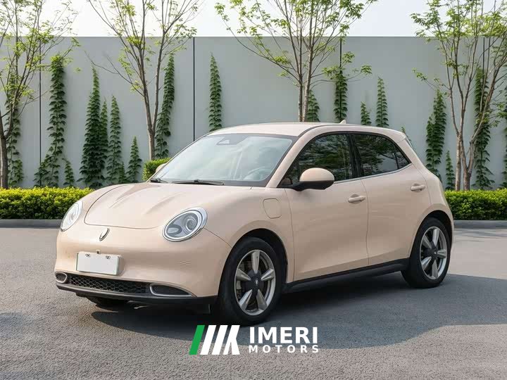 ORA Good Cat 2022 Morandi Edition 400km Standard Range Luxury Trim LFP - ავტომობილი ჩინეთიდან