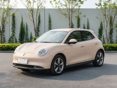 ORA Good Cat 2022 Morandi Edition 400km Standard Range Luxury Trim LFP - ფოტო 1