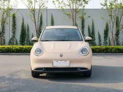 ORA Good Cat 2022 Morandi Edition 400km Standard Range Luxury Trim LFP - ფოტო 2