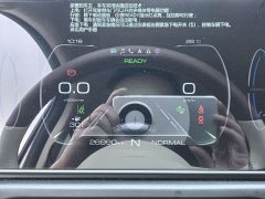 ORA Good Cat 2022 Morandi Edition 400km Standard Range Luxury Trim LFP - ფოტო 9