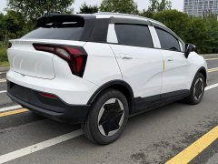 Geely Geometry E Firefly 301km Starlight - ფოტო 11