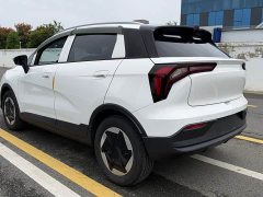 Geely Geometry E Firefly 301km Starlight - ფოტო 13