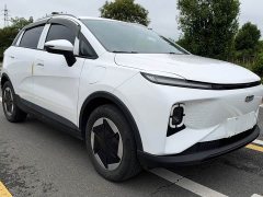 Geely Geometry E Firefly 301km Starlight - ფოტო 3