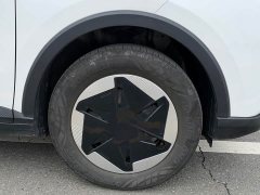 Geely Geometry E Firefly 301km Starlight - ფოტო 4