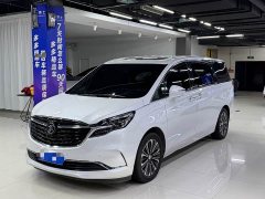 Buick GL8 ES Land Respect 653T Luxury - ფოტო 1