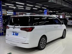 Buick GL8 ES Land Respect 653T Luxury - ფოტო 6