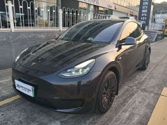 Tesla Model Y Rear-Wheel Drive - ფოტო 1