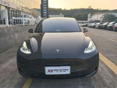 Tesla Model Y Rear-Wheel Drive - ფოტო 2