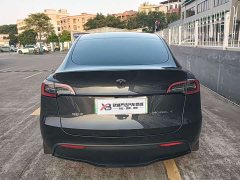 Tesla Model Y Rear-Wheel Drive - ფოტო 5