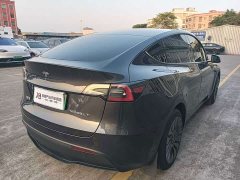 Tesla Model Y Rear-Wheel Drive - ფოტო 6