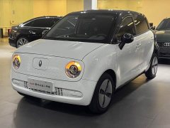 ORA Black Cat 2019 301km Standard Edition - ფოტო 1