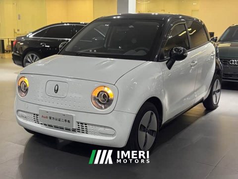 2021 ORA Black Cat 2019 301km Standard Edition - ავტომობილი ჩინეთიდან