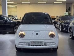 ORA Black Cat 2019 301km Standard Edition - ფოტო 2