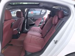 BMW 5 Series 530Li Premier M Sport Package - ფოტო 10