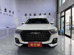 Haval H6 National Trend Edition 1.5T Automatic Urban Version - ფოტო 1