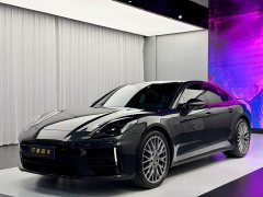 Porsche Panamera 2.9T - ფოტო 1