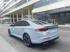 Geely Xingui Xingrui 2.0T Diesel Spacetime Edition Bright Moon - ფოტო 8