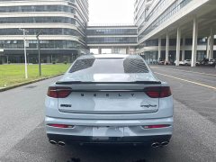 Geely Xingui Xingrui 2.0T Diesel Spacetime Edition Bright Moon - ფოტო 9