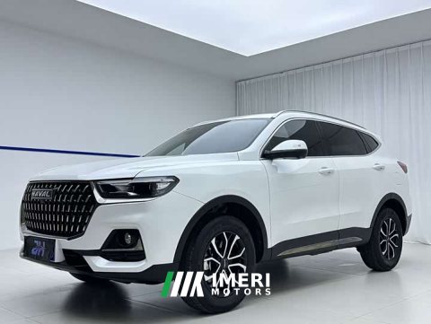 2023 Haval H6 National Trend Edition 1.5T Automatic Urban Version - ავტომობილი ჩინეთიდან
