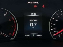 Haval H6 National Trend Edition 1.5T Automatic Urban Version - ფოტო 13