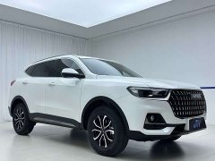 Haval H6 National Trend Edition 1.5T Automatic Urban Version - ფოტო 3